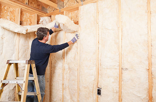 Best Attic Insulation Installation in Pismo Beach, CA